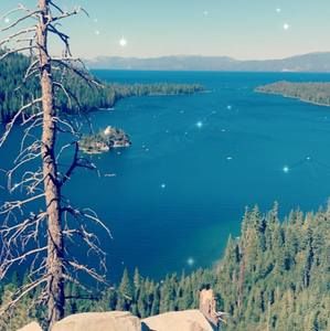 Meet your Posher, Edgar